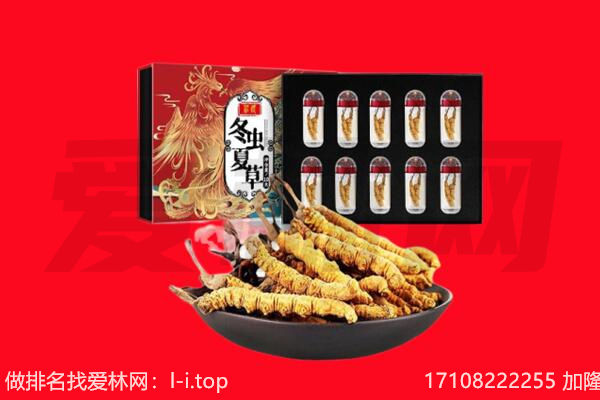 黔南州荔波回收虫草.jpg